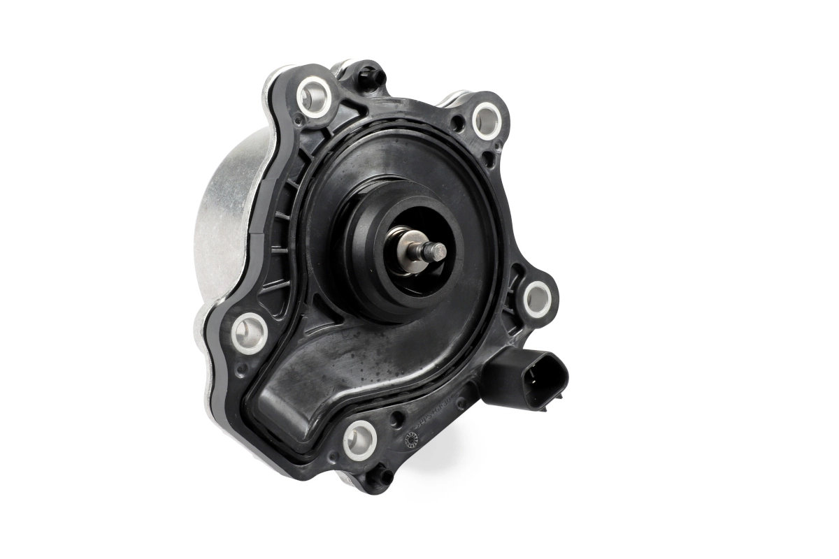 P7803 Hepu