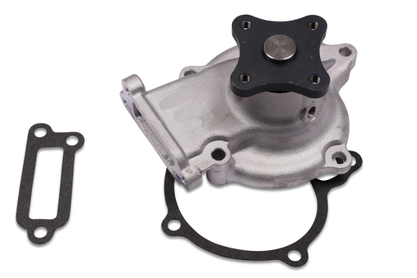 P743 Hepu