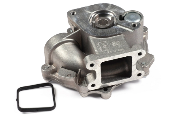 P482 Hepu