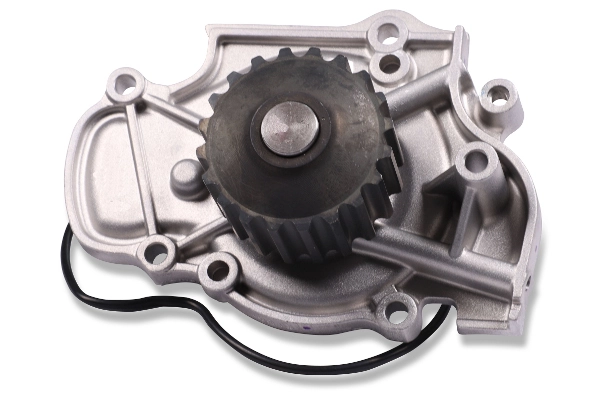 P779 Hepu