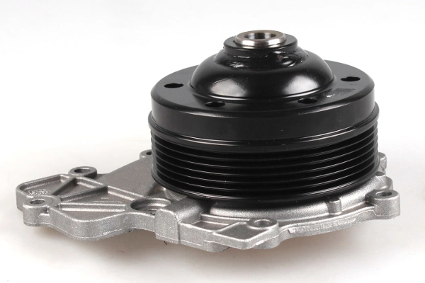 P1525 Hepu