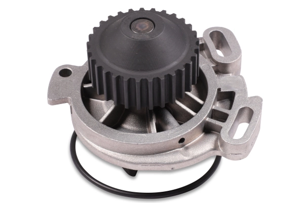 P534 Hepu