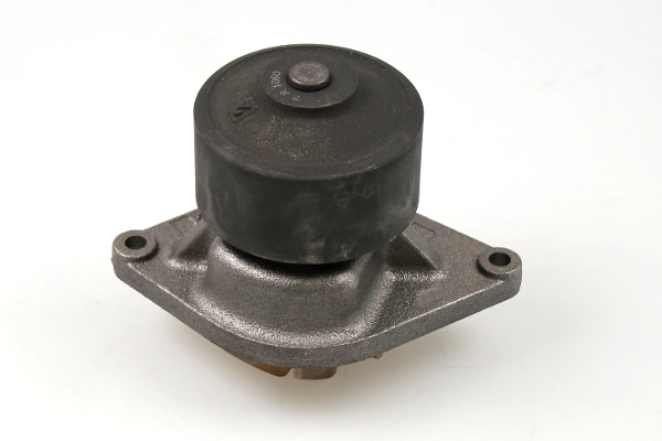 P1190 Hepu