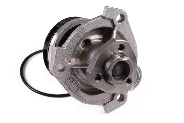 P347 Hepu