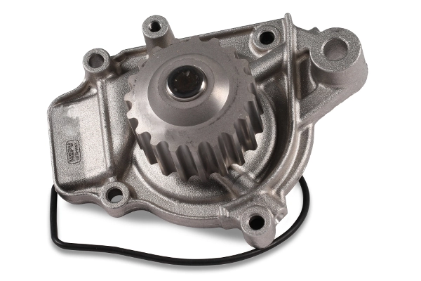 P046 Hepu