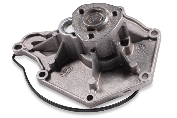 P653 Hepu