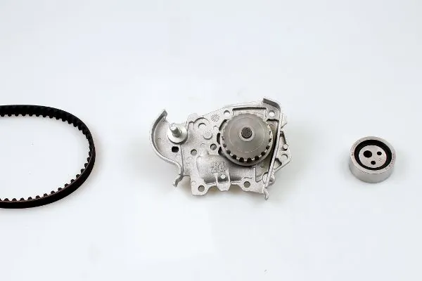 PK08490 Hepu