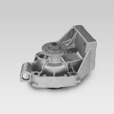 P119 Hepu
