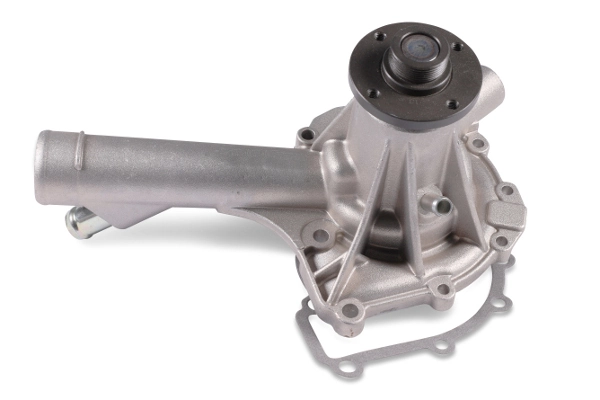 P142 Hepu