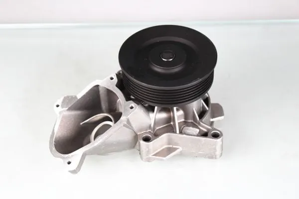 P487 Hepu