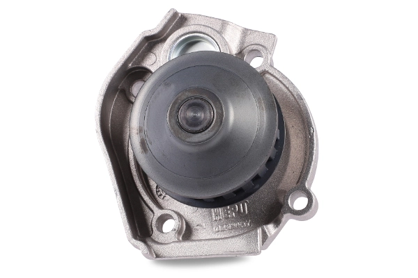 P094 Hepu