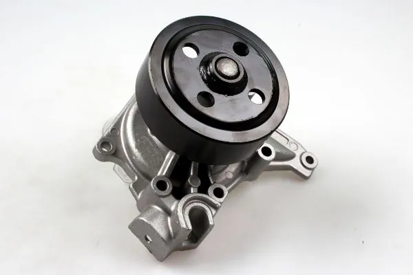 P7536 Hepu