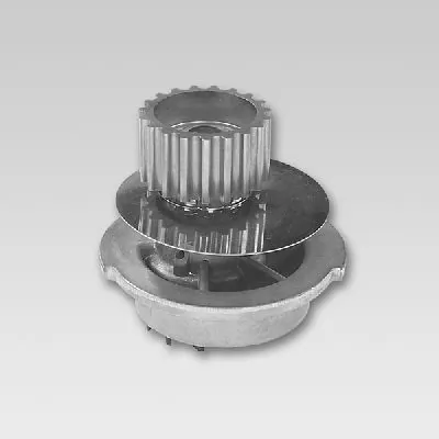 P793 Hepu