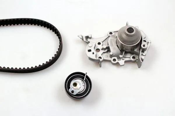 PK09540 Hepu