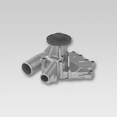 P736 Hepu