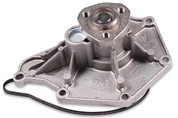 P582 Hepu