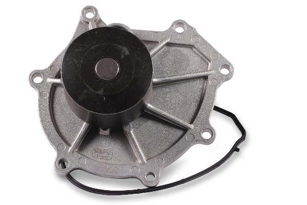 P2601 Hepu
