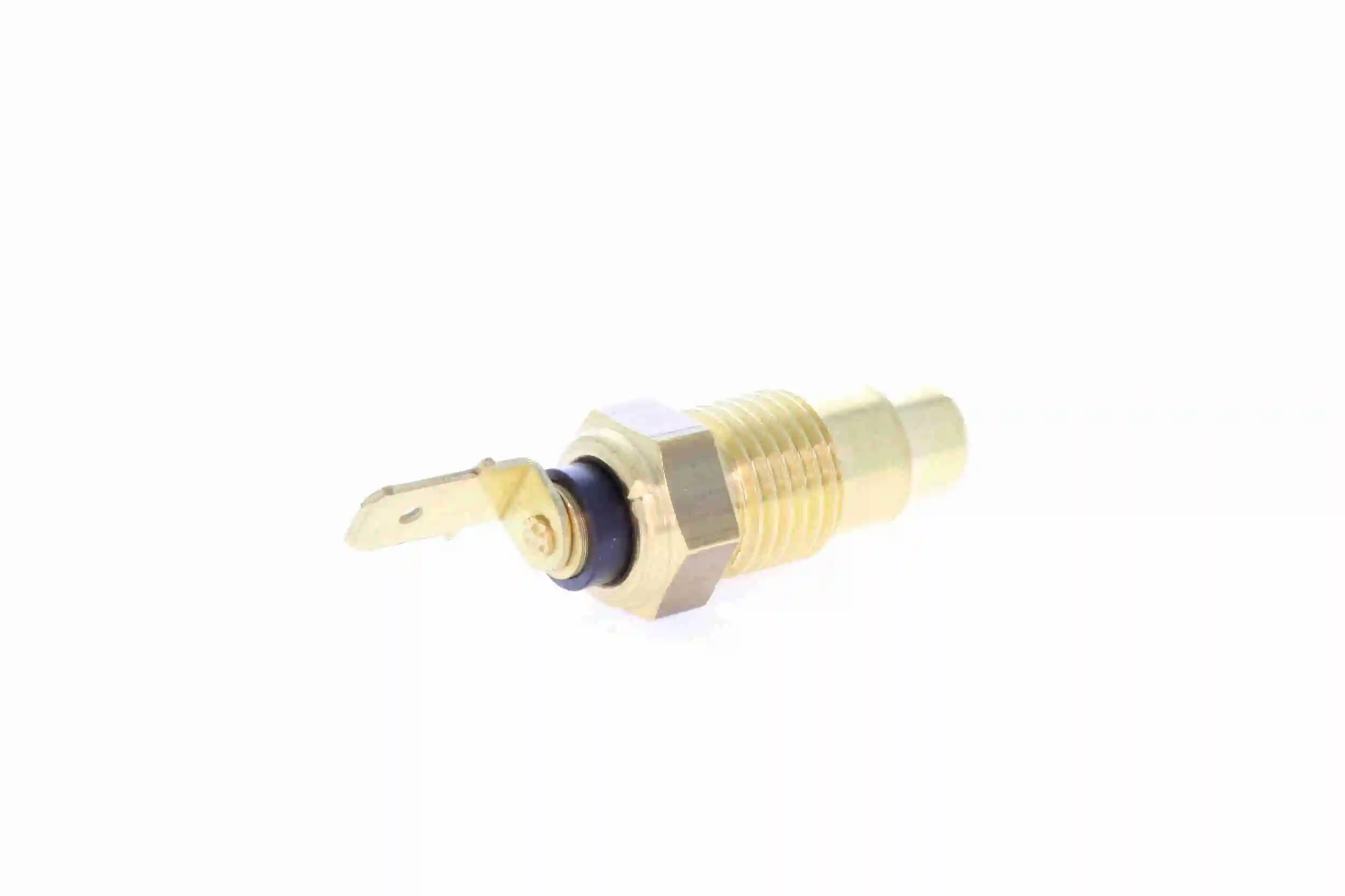 V38720003 Vemo