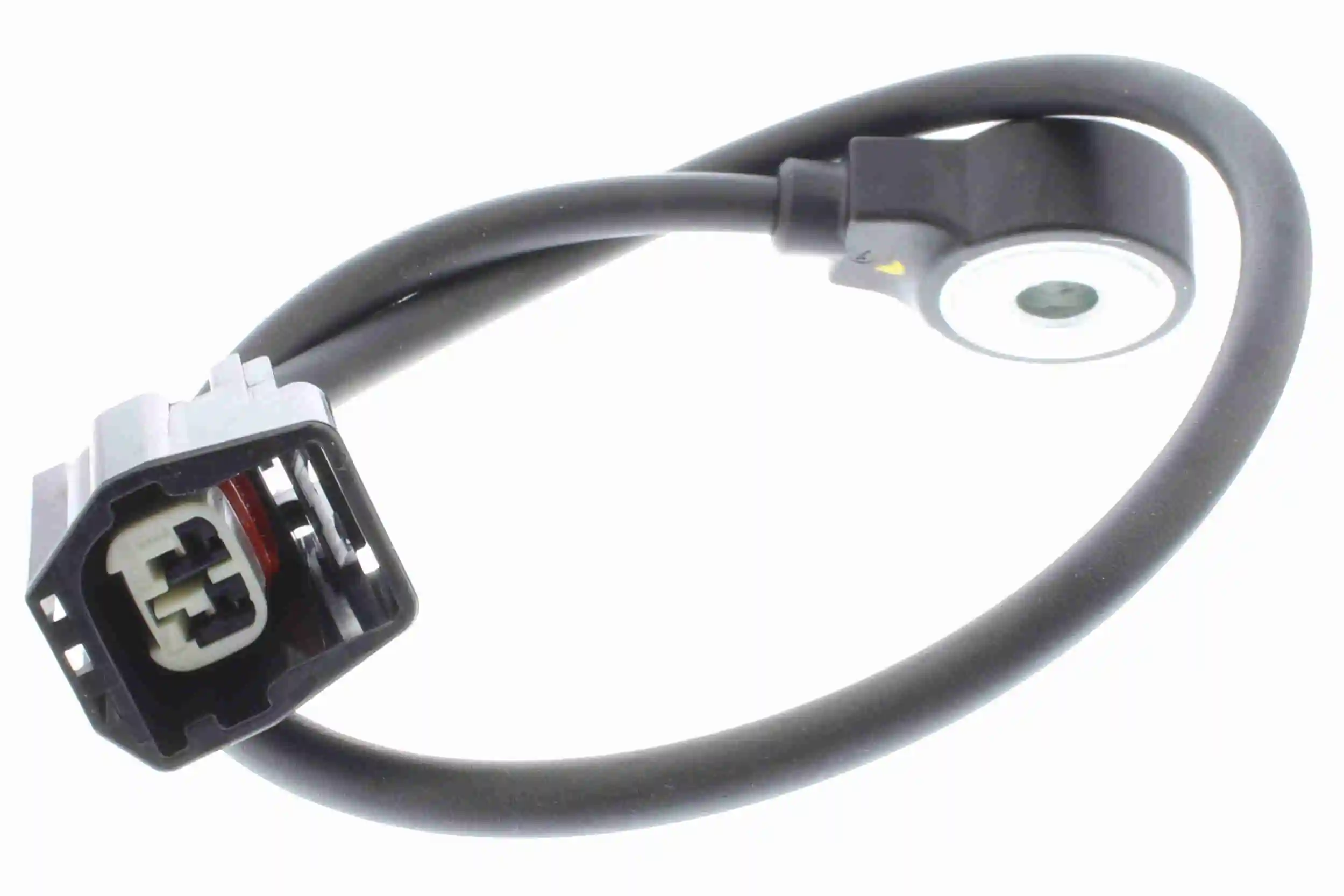 V25721070 Vemo