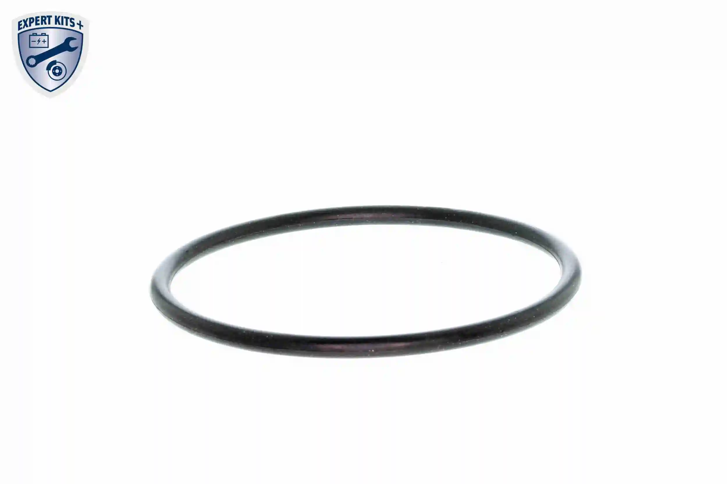  Termostat SsangYong Kyron 