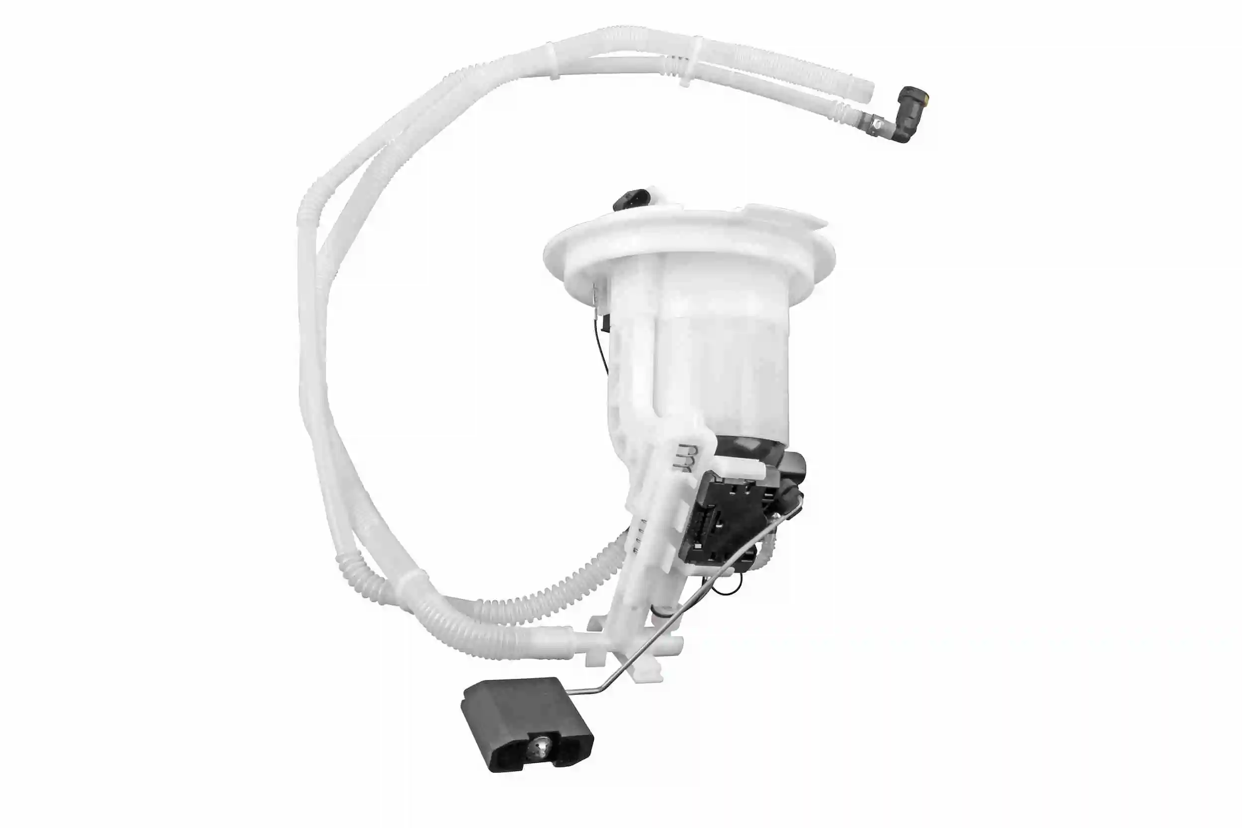 V30090065 Vemo