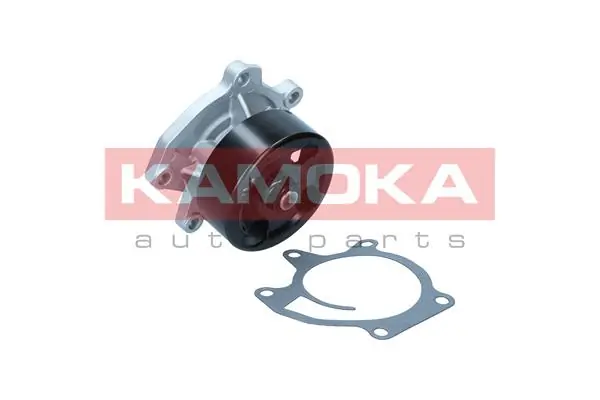 T0303 Kamoka