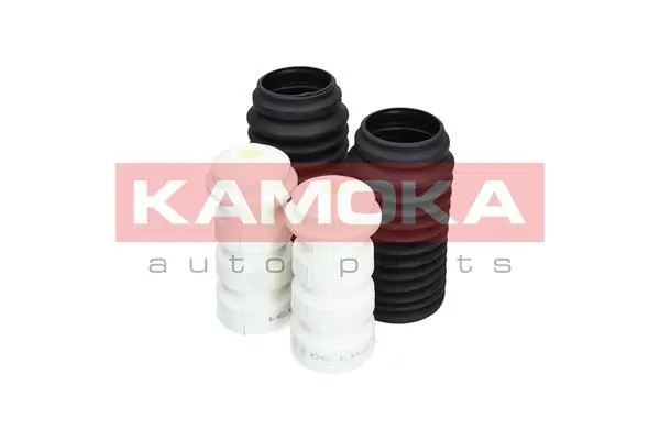 2019031 Kamoka