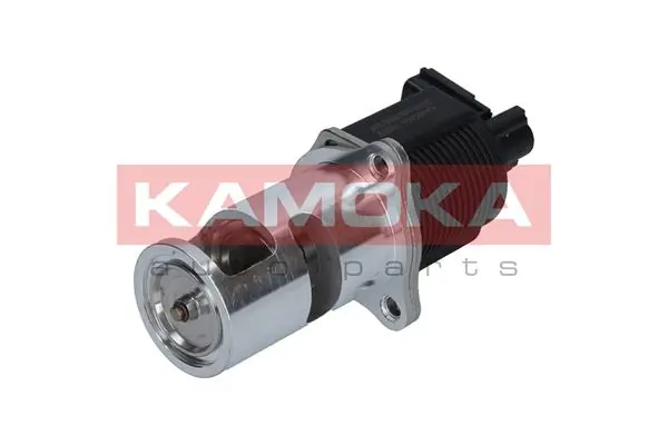 19009 Kamoka