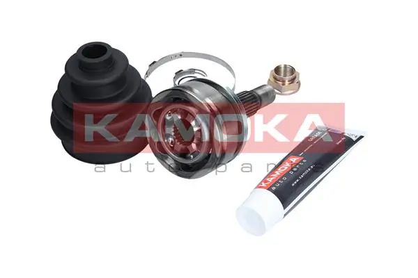 6030 Kamoka