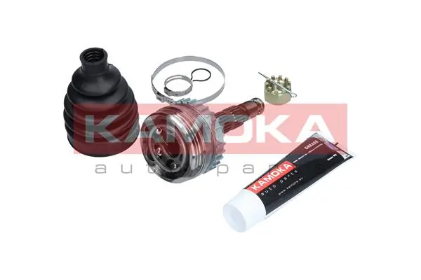 6036 Kamoka