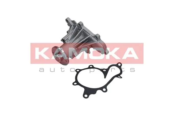 T0277 Kamoka