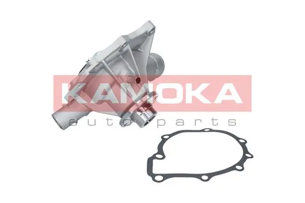 T0189 Kamoka