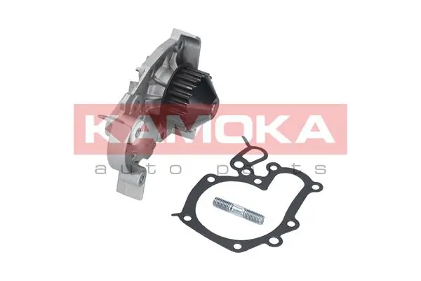T0241 Kamoka