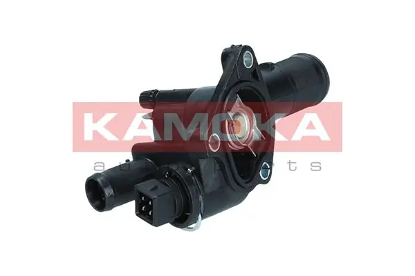 7710137 Kamoka