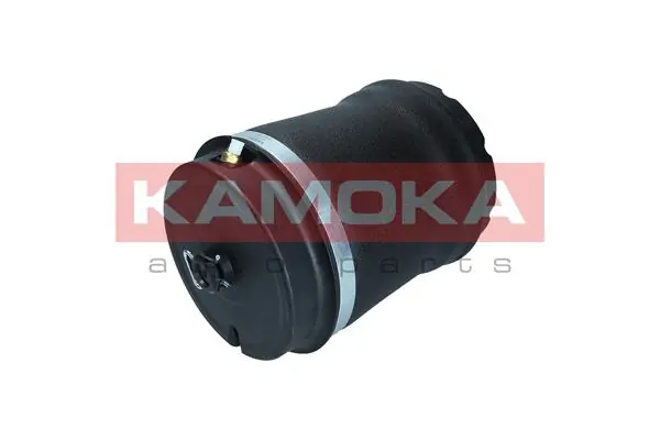 2079032 Kamoka