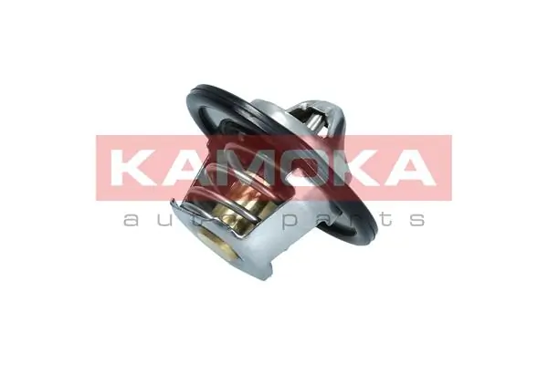 Termostat Renault (RVI) 2120000Q0B