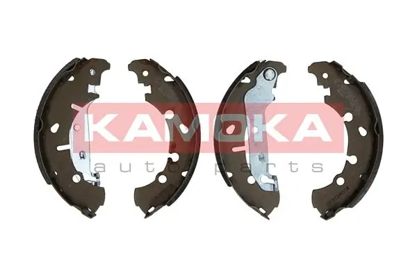 JQ202028 Kamoka