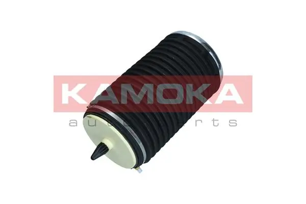 2079003 Kamoka