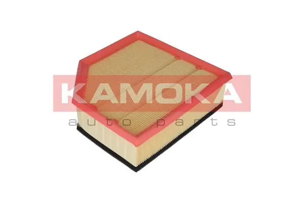 F232201 Kamoka