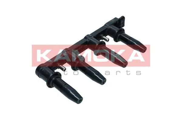 7120021 Kamoka