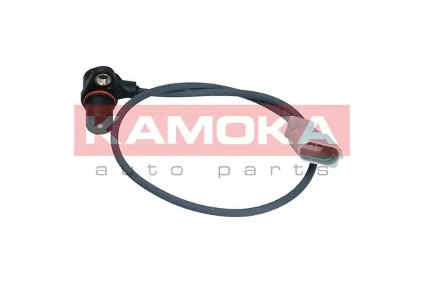 109008 Kamoka