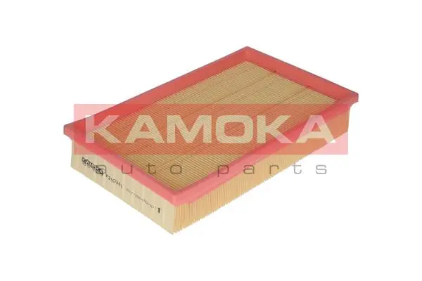 F210301 Kamoka
