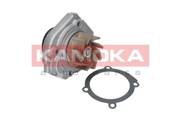 T0013 Kamoka