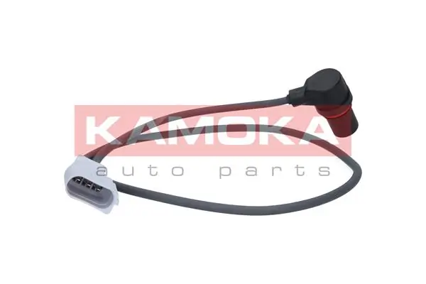 109005 Kamoka