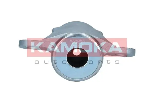 209309 Kamoka