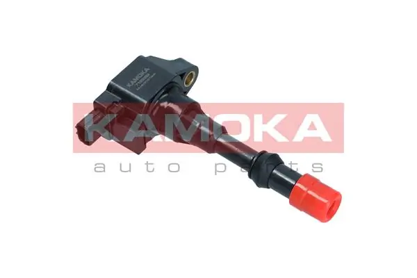7120089 Kamoka
