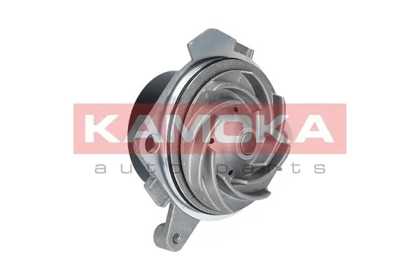 T0001 Kamoka