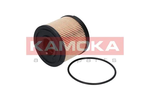 F305101 Kamoka