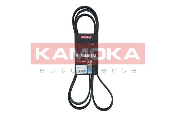 7016221 Kamoka