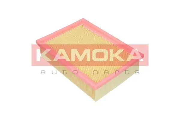 F218401 Kamoka